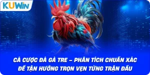 Cá Cược Đá Gà Tre – Phân Tích Chuẩn Xác Tận Hưởng Trọn Vẹn