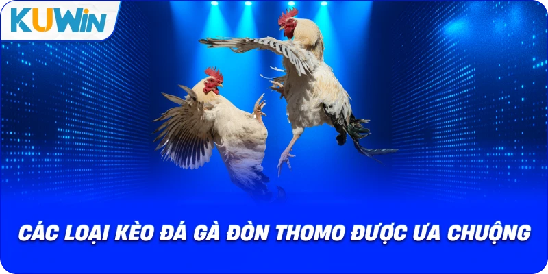 các loại kèo đá gà đòn thomo được ưa chuộng