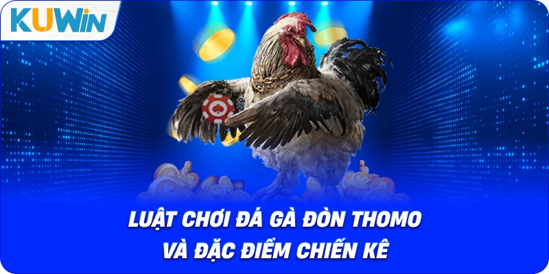 luật chơi đá gà đòn thomo và đặc điểm chiến kê